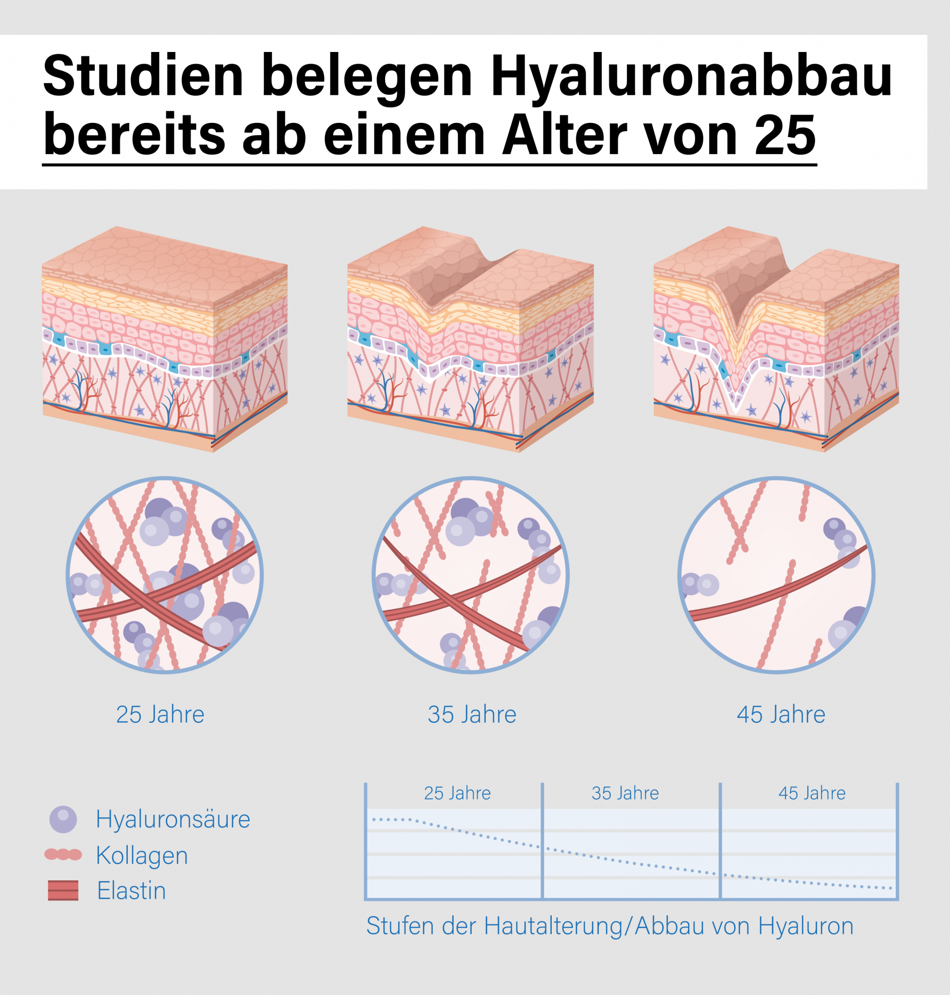 Bereits ab dem 25. Lebensjahr produziert der Körper weniger Hyaluron