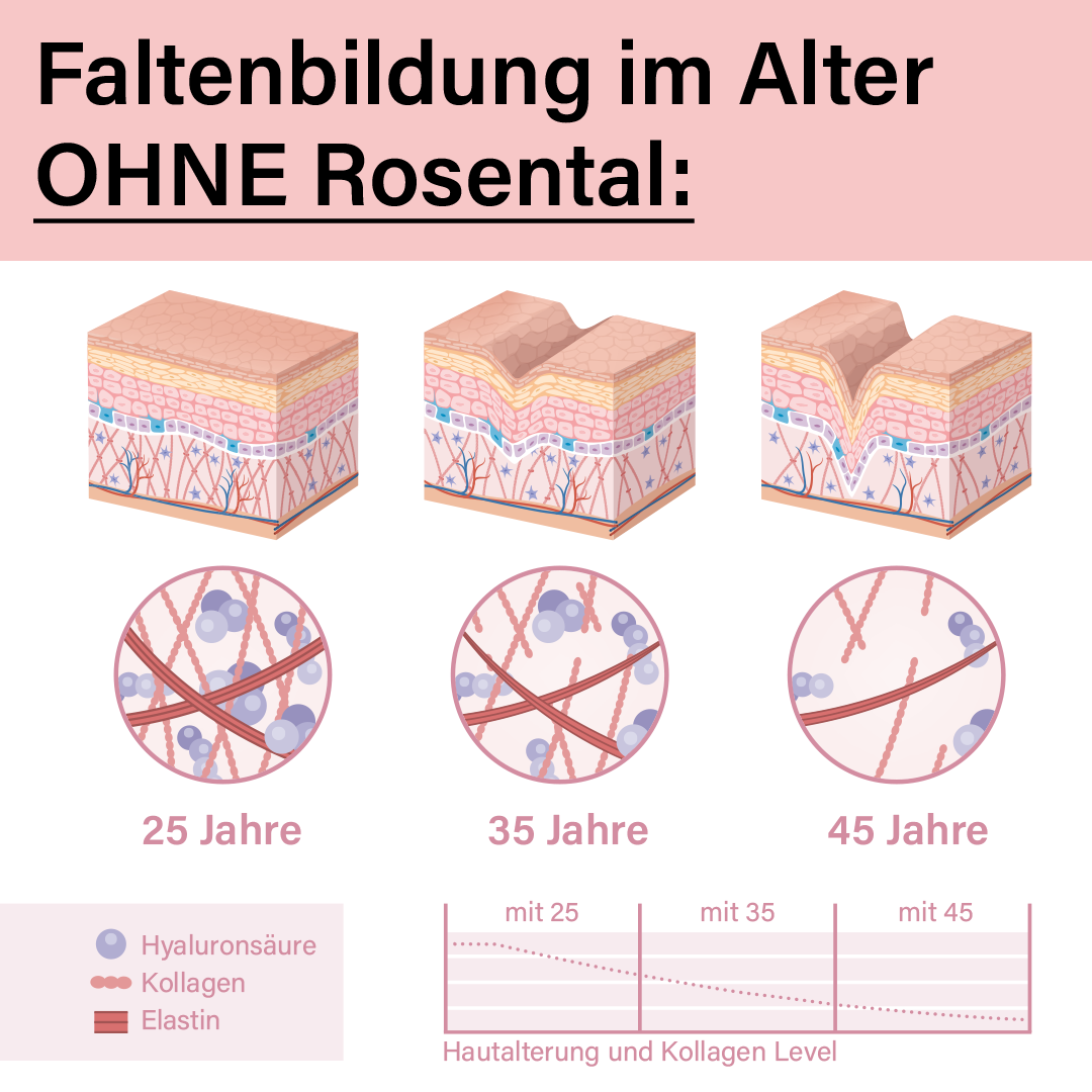 Ab dem 25. Lebensjahr verliert jeder Mensch pro Jahr 1% des körpereigenen Kollagens