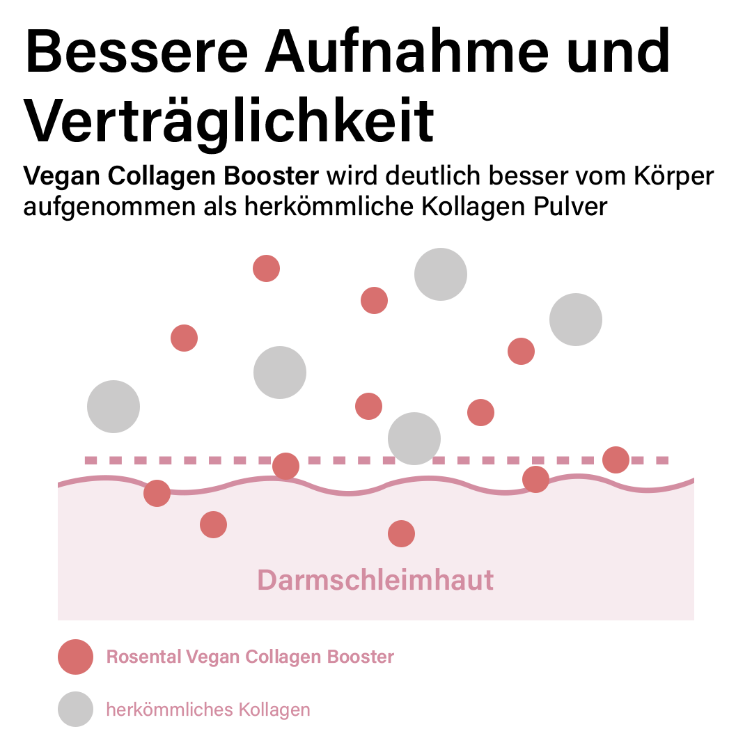 Studienbasierte Wirkung: Der Vegan Collagen Booster ist hochverträglich und hochwirksam