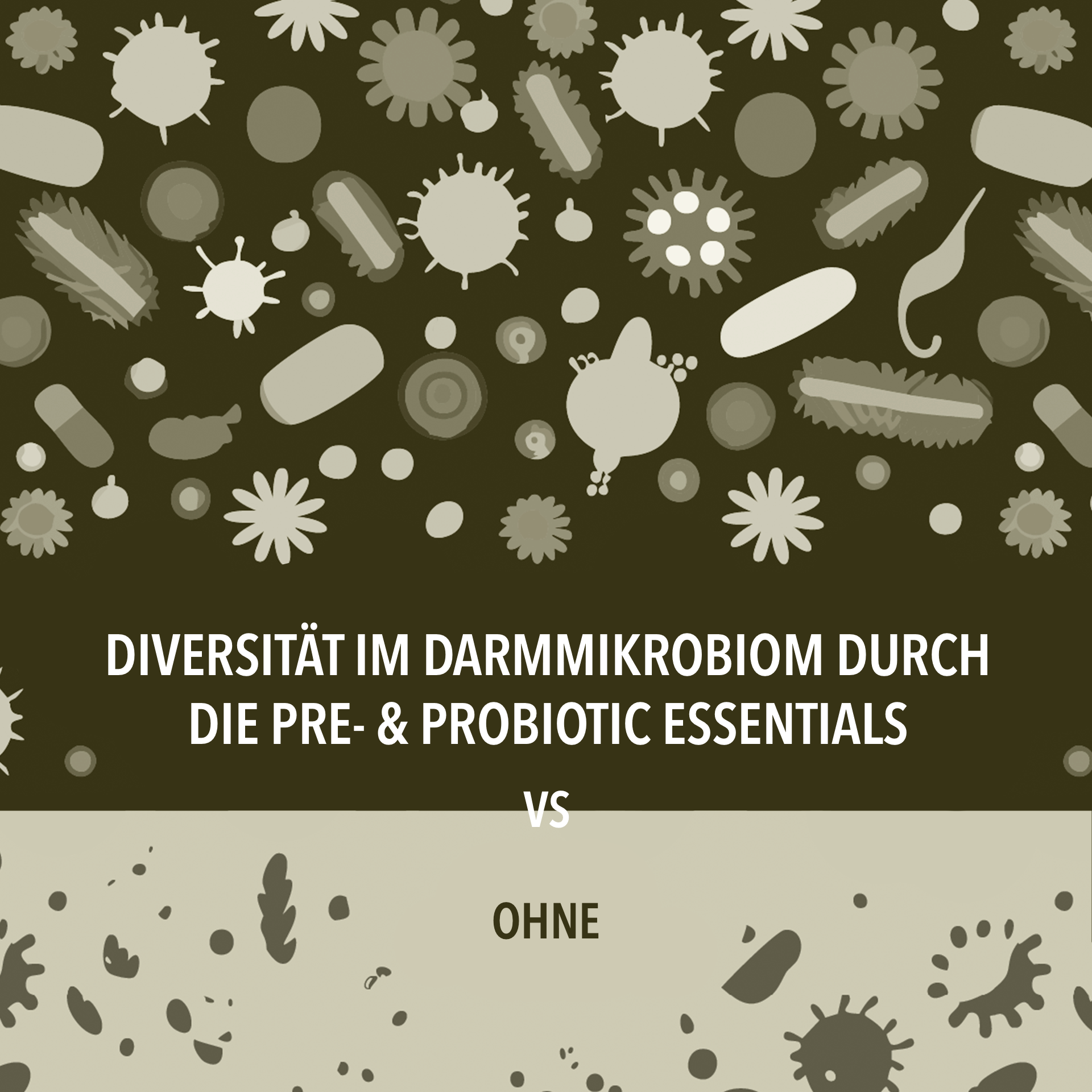 Trägt nachweislich zum Aufbau & Erhalt einer gesunden Darmflora bei