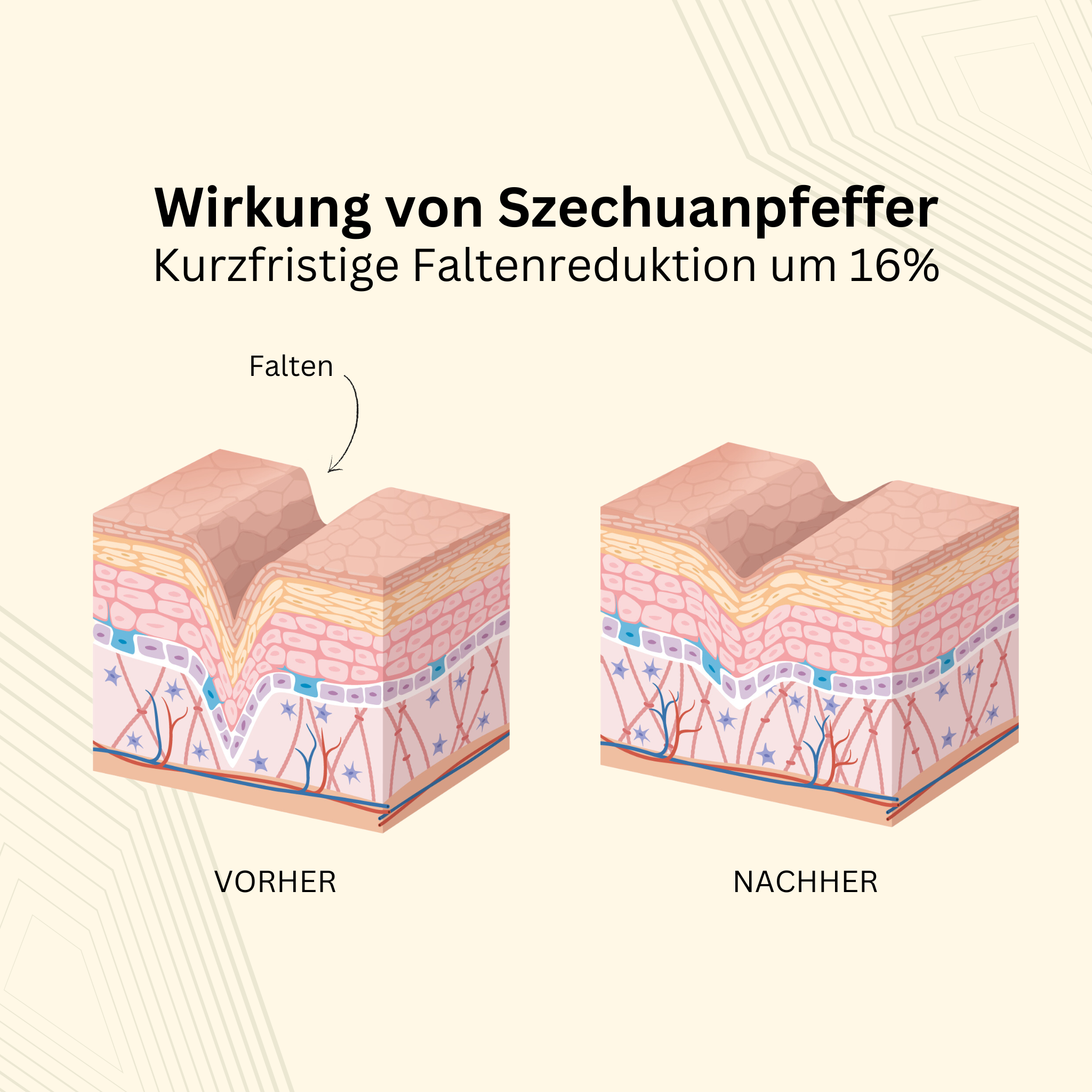 Studien konnten nachweisen, dass Szechuanpfeffer wie Botox wirkt